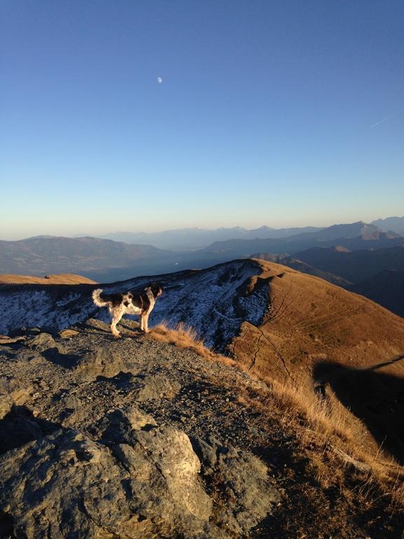 Ruhige Wohnung Mit Schoenem Eigengarten In Seeboden Am Millstaettersee Quarto foto