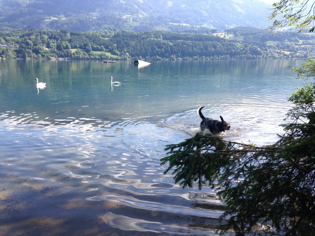 Ruhige Wohnung Mit Schoenem Eigengarten In Seeboden Am Millstaettersee Quarto foto