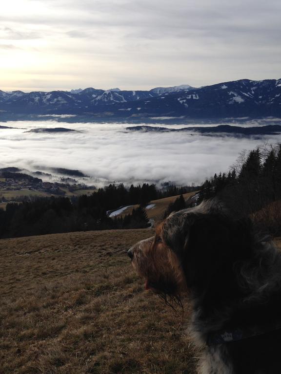 Ruhige Wohnung Mit Schoenem Eigengarten In Seeboden Am Millstaettersee Exterior foto