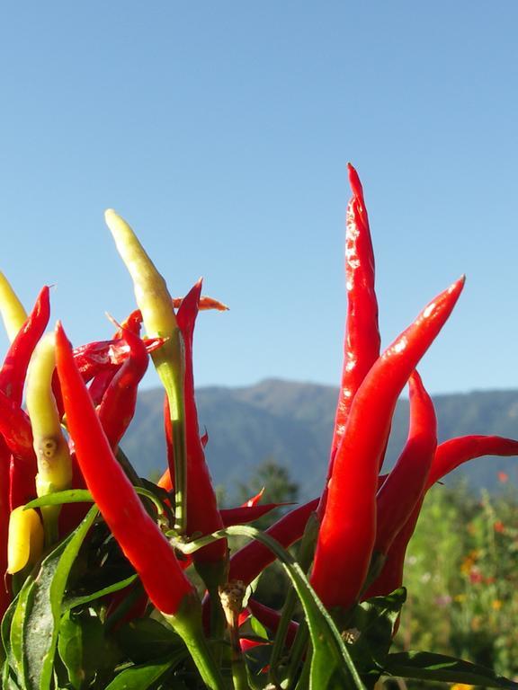 Ruhige Wohnung Mit Schoenem Eigengarten In Seeboden Am Millstaettersee Quarto foto