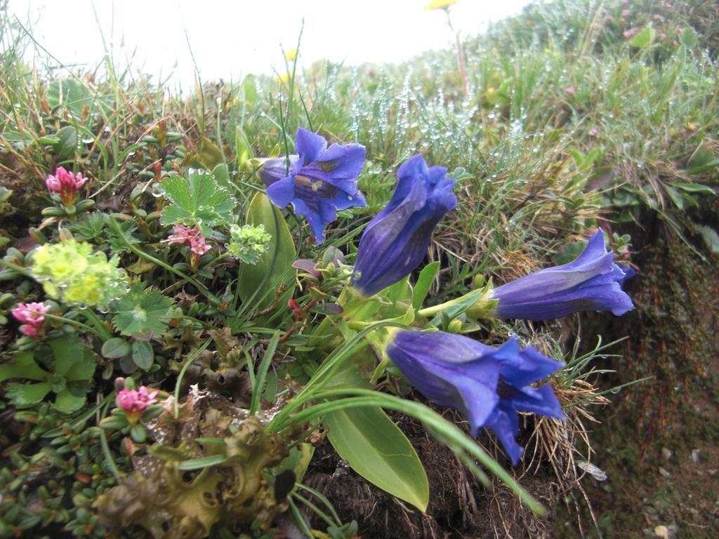 Ruhige Wohnung Mit Schoenem Eigengarten In Seeboden Am Millstaettersee Exterior foto