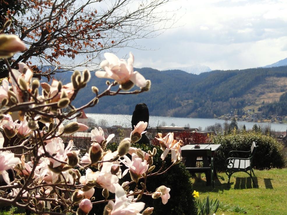 Ruhige Wohnung Mit Schoenem Eigengarten In Seeboden Am Millstaettersee Exterior foto