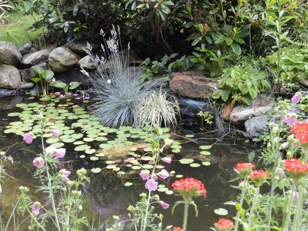 Ruhige Wohnung Mit Schoenem Eigengarten In Seeboden Am Millstaettersee Exterior foto